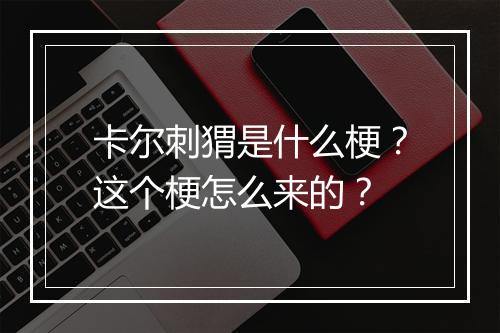 卡尔刺猬是什么梗？这个梗怎么来的？