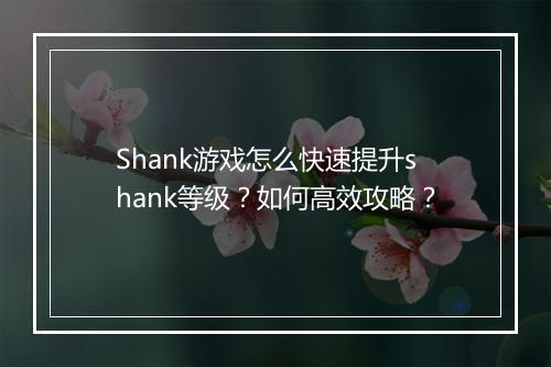 Shank游戏怎么快速提升shank等级?如何高效攻略?