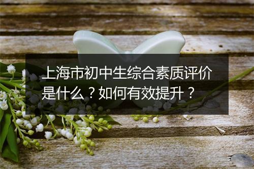 上海市初中生综合素质评价是什么？如何有效提升？