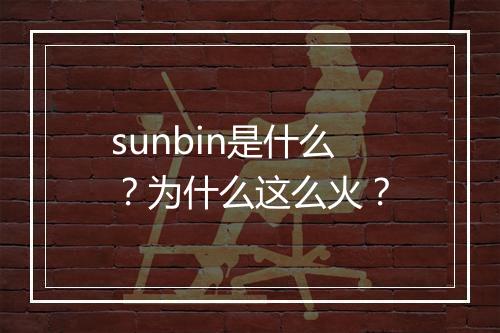 sunbin是什么?为什么这么火?