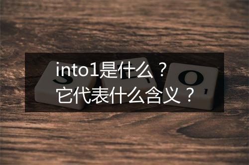 into1是什么？它代表什么含义？