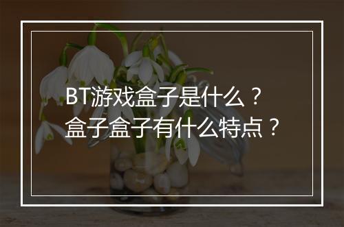 BT游戏盒子是什么？盒子盒子有什么特点？