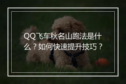 QQ飞车秋名山跑法是什么？如何快速提升技巧？