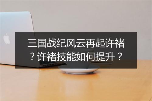 三国战纪风云再起许褚？许褚技能如何提升？