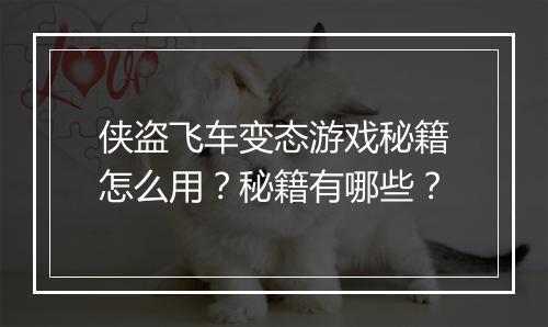 侠盗飞车变态游戏秘籍怎么用？秘籍有哪些？
