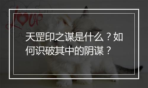 天罡印之谋是什么？如何识破其中的阴谋？