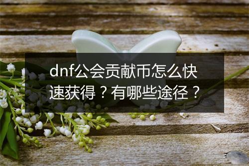 dnf公会贡献币怎么快速获得？有哪些途径？