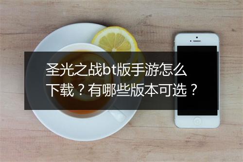 圣光之战bt版手游怎么下载?有哪些版本可选?