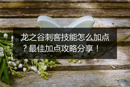 龙之谷刺客技能怎么加点?最佳加点攻略分享!