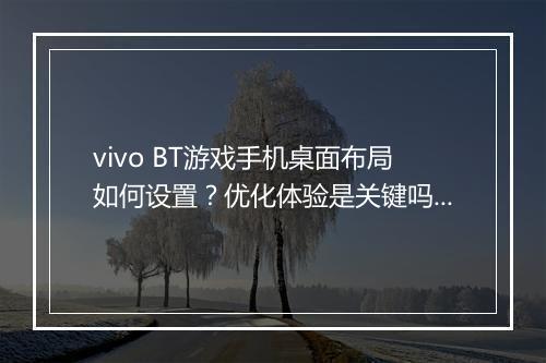vivo BT游戏手机桌面布局如何设置?优化体验是关键吗?