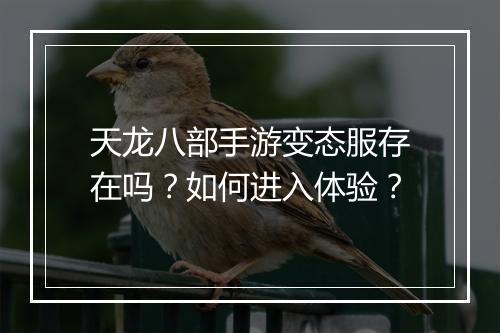 天龙八部手游变态服存在吗?如何进入体验?