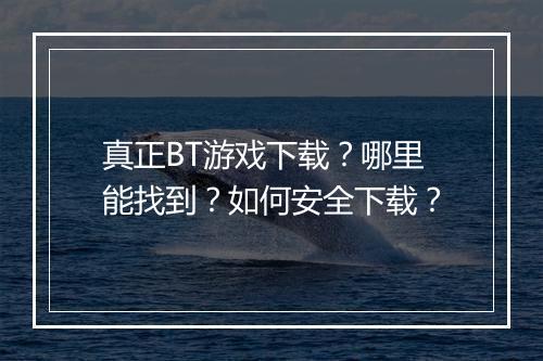 真正BT游戏下载?哪里能找到?如何安全下载?