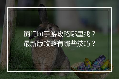 蜀门bt手游攻略哪里找?最新版攻略有哪些技巧?