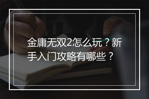 金庸无双2怎么玩?新手入门攻略有哪些?