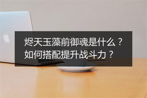 烬天玉藻前御魂是什么?如何搭配提升战斗力?