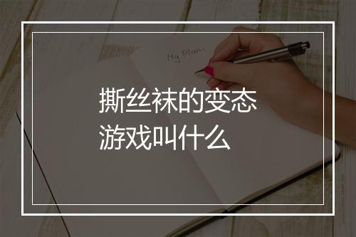 撕丝袜的变态游戏叫什么