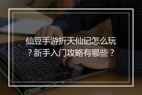 仙豆手游折天仙记怎么玩?新手入门攻略有哪些?