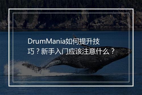 DrumMania如何提升技巧?新手入门应该注意什么?