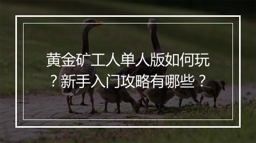 黄金矿工人单人版如何玩?新手入门攻略有哪些?