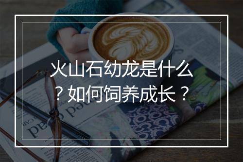 火山石幼龙是什么?如何饲养成长?