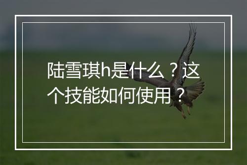 陆雪琪h是什么?这个技能如何使用?