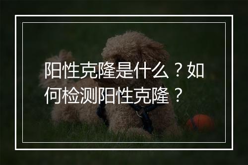 阳性克隆是什么?如何检测阳性克隆?