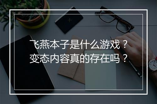 飞燕本子是什么游戏?变态内容真的存在吗?