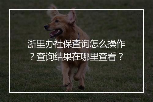 浙里办社保查询怎么操作?查询结果在哪里查看?