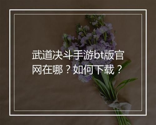 武道决斗手游bt版官网在哪?如何下载?