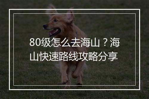 80级怎么去海山？海山快速路线攻略分享