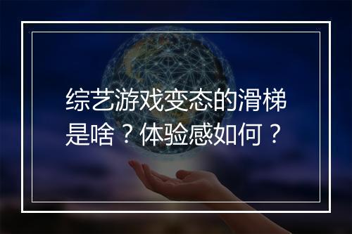 综艺游戏变态的滑梯是啥？体验感如何？