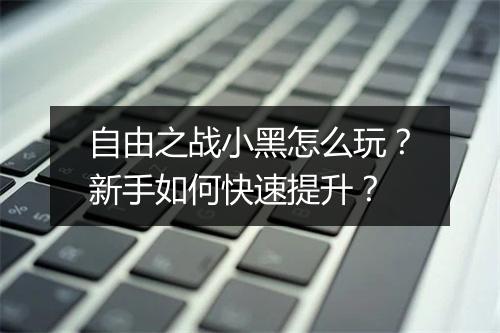 自由之战小黑怎么玩?新手如何快速提升?
