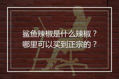 鲨鱼辣椒是什么辣椒?哪里可以买到正宗的?