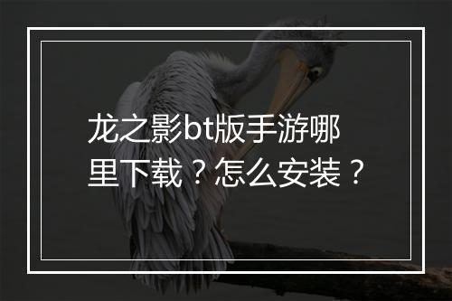龙之影bt版手游哪里下载?怎么安装?
