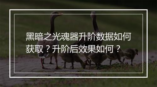 黑暗之光魂器升阶数据如何获取?升阶后效果如何?