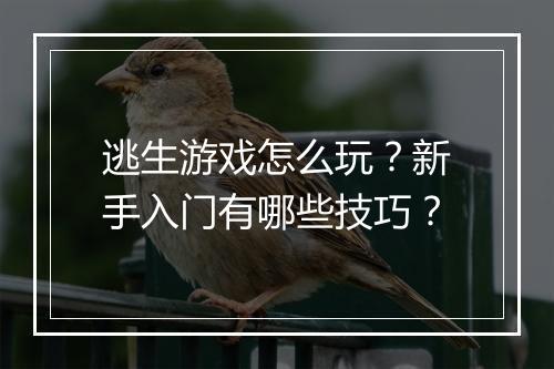 逃生游戏怎么玩?新手入门有哪些技巧?