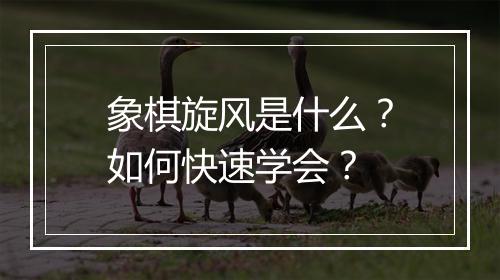 象棋旋风是什么？如何快速学会？