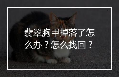 翡翠胸甲掉落了怎么办?怎么找回?