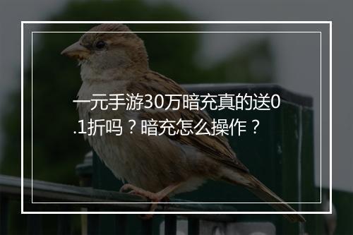 一元手游30万暗充真的送0.1折吗?暗充怎么操作?