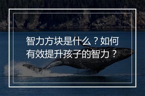 智力方块是什么?如何有效提升孩子的智力?
