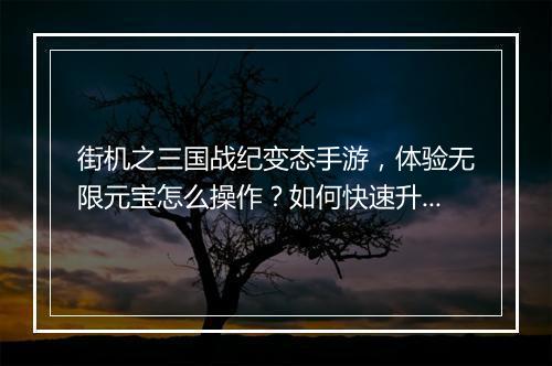 街机之三国战纪变态手游，体验无限元宝怎么操作？如何快速升级？