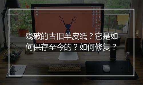 残破的古旧羊皮纸?它是如何保存至今的?如何修复?