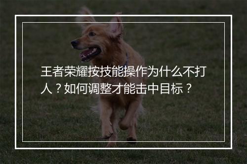 王者荣耀按技能操作为什么不打人？如何调整才能击中目标？