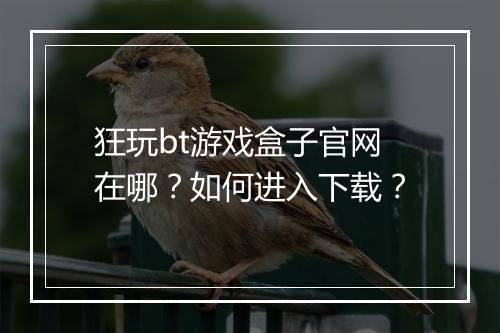 狂玩bt游戏盒子官网在哪？如何进入下载？