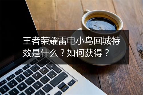 王者荣耀雷电小鸟回城特效是什么？如何获得？