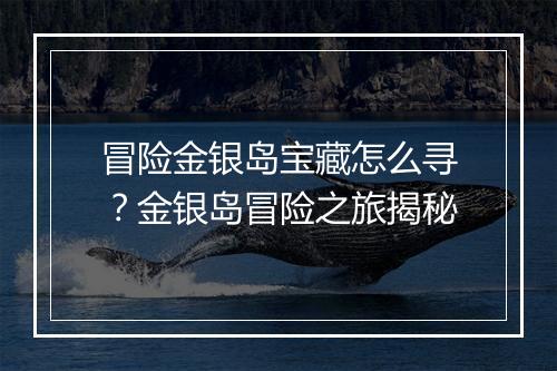 冒险金银岛宝藏怎么寻?金银岛冒险之旅揭秘