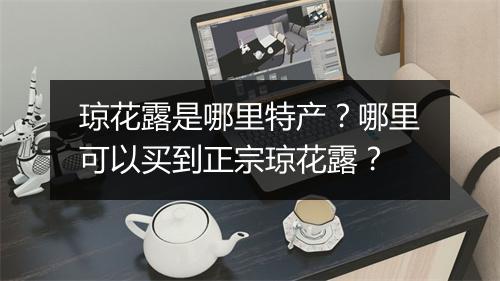 琼花露是哪里特产?哪里可以买到正宗琼花露?