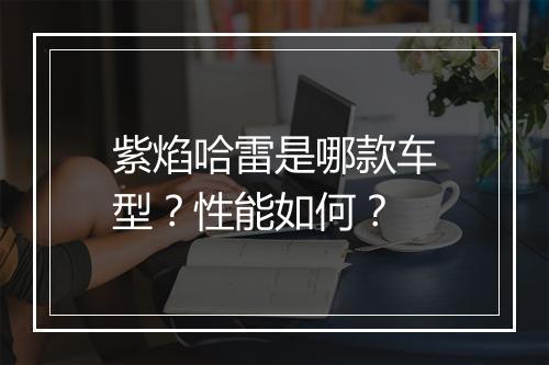 紫焰哈雷是哪款车型？性能如何？