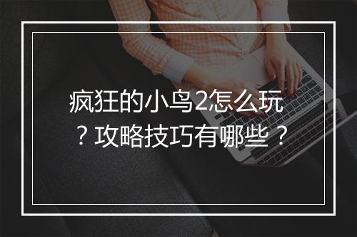 疯狂的小鸟2怎么玩?攻略技巧有哪些?