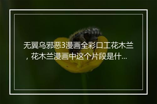 无翼乌邪恶3漫画全彩口工花木兰,花木兰漫画中这个片段是什么意思?